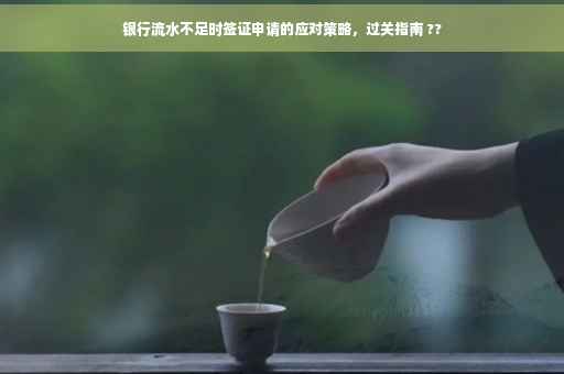 银行流水不足时签证申请的应对策略，过关指南 ??