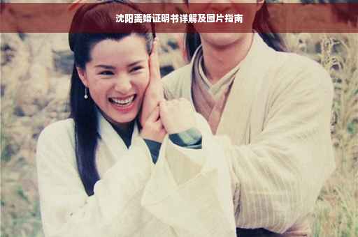 沈阳离婚证明书详解及图片指南