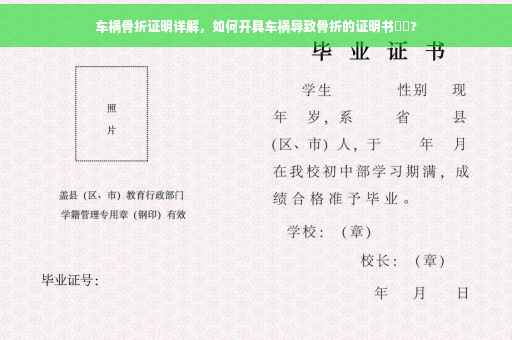 车祸骨折证明详解，如何开具车祸导致骨折的证明书⚡️?