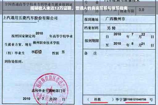 揭秘收入未达12万证明，普通人的真实写照与撰写指南