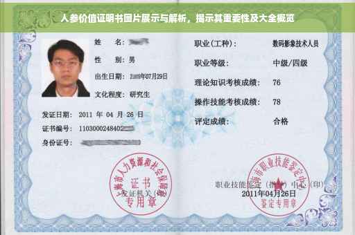 人参价值证明书图片展示与解析，揭示其重要性及大全概览