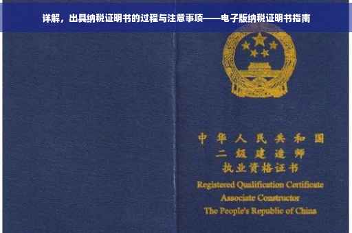 详解，出具纳税证明书的过程与注意事项——电子版纳税证明书指南