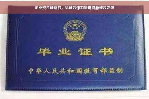 企业资合证明书，见证合作力量与资源整合之道