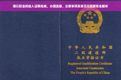 建行职业和收入证明指南，办理流程、注意事项及常见问题解答全解析
