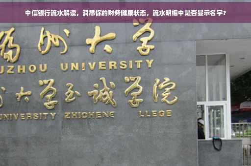 中信银行流水解读，洞悉你的财务健康状态，流水明细中是否显示名字？
