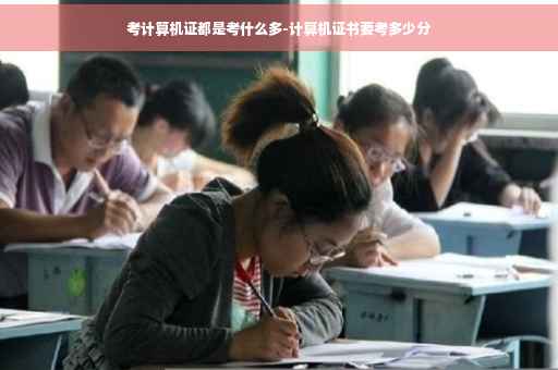 考计算机证都是考什么多-计算机证书要考多少分