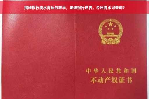 揭秘银行流水背后的故事，走进银行世界，今日流水可查询？