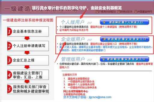 银行流水审计软件的数字化守护，金融安全利器概览