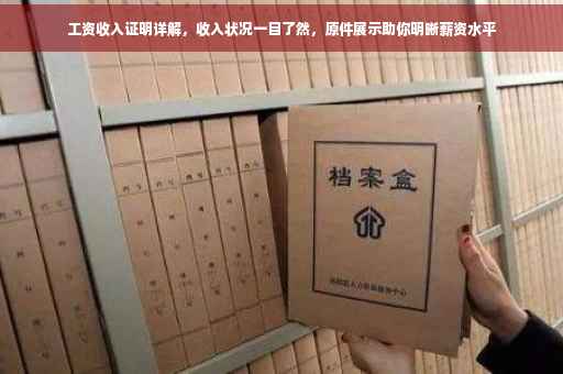 工资收入证明详解，收入状况一目了然，原件展示助你明晰薪资水平