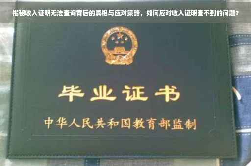 揭秘收入证明无法查询背后的真相与应对策略，如何应对收入证明查不到的问题？