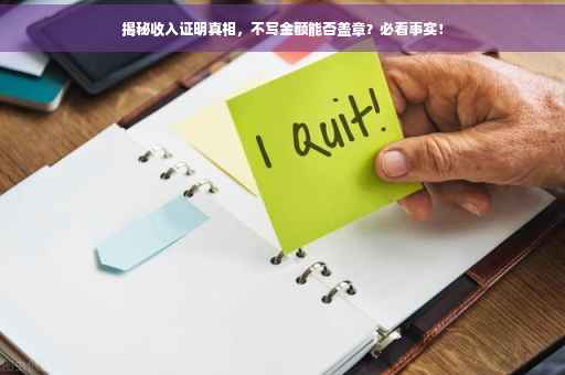 揭秘收入证明真相，不写金额能否盖章？必看事实！