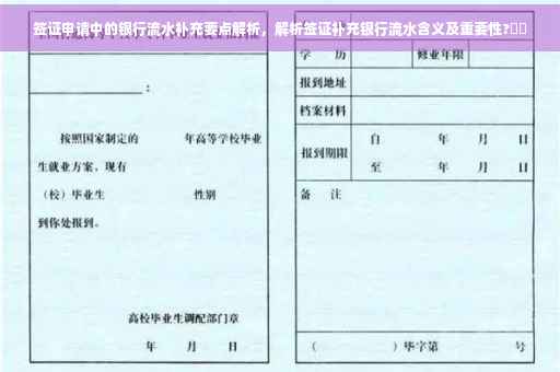 签证申请中的银行流水补充要点解析，解析签证补充银行流水含义及重要性?⚡️