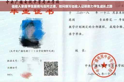 低收入家庭学生困境与应对之道，如何撰写低收入证明助力学生成长之路