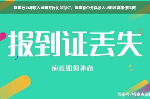 避税行为与收入证明并行问题探讨，避税能否开具收入证明及其操作指南