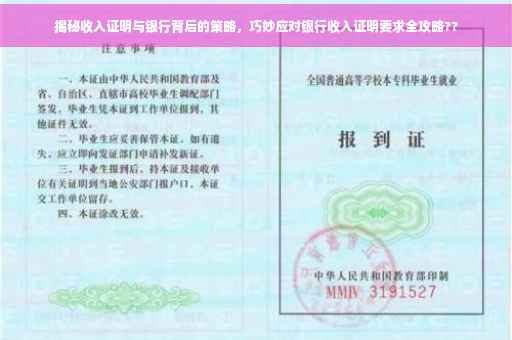 揭秘收入证明与银行背后的策略，巧妙应对银行收入证明要求全攻略??