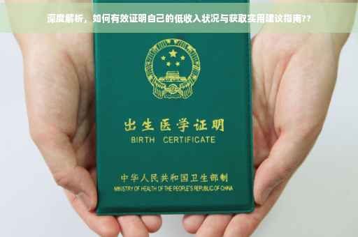 深度解析，如何有效证明自己的低收入状况与获取实用建议指南??