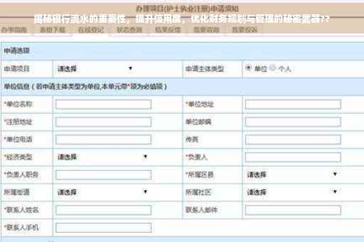 揭秘银行流水的重要性，提升信用度，优化财务规划与管理的秘密武器??