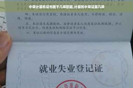 中级计算机证书属于几级职称,计算机中级证算几级