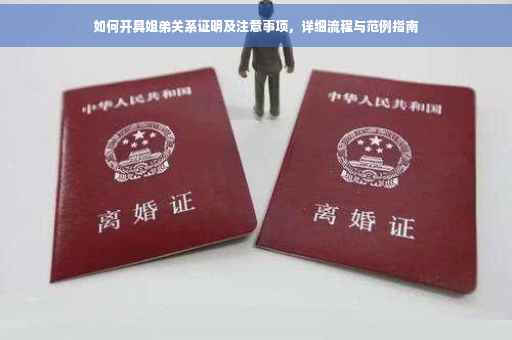 如何开具姐弟关系证明及注意事项，详细流程与范例指南