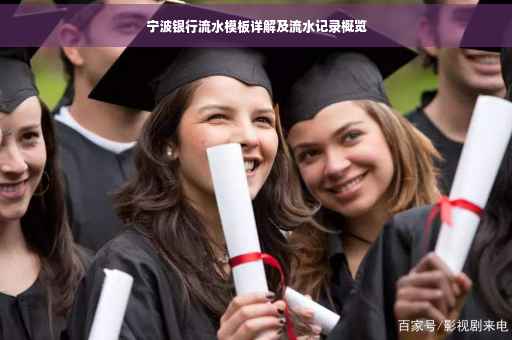 宁波银行流水模板详解及流水记录概览