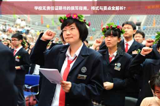 学校无责任证明书的撰写指南，格式与要点全解析?