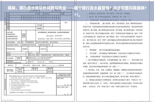 揭秘，银行流水背后的风险与挑战——哪个银行流水最值钱？违法犯罪问题揭秘???。