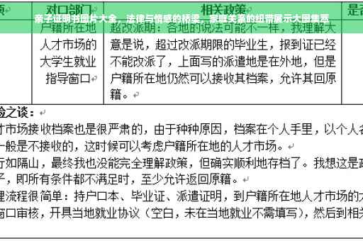 亲子证明书图片大全，法律与情感的桥梁，家庭关系的纽带展示大图集萃