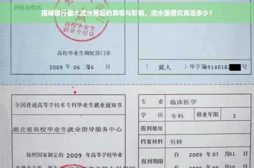 揭秘银行最大流水背后的真相与影响，流水极限究竟是多少？