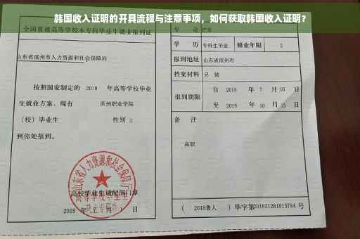 韩国收入证明的开具流程与注意事项，如何获取韩国收入证明？