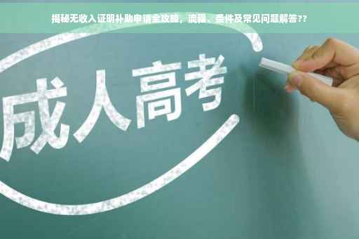 揭秘无收入证明补助申请全攻略，流程、条件及常见问题解答??