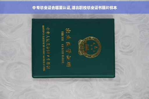 中专毕业证去哪里认证,湖北职校毕业证书图片样本