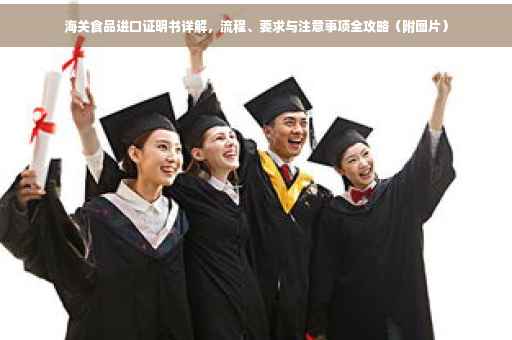 海关食品进口证明书详解，流程、要求与注意事项全攻略（附图片）