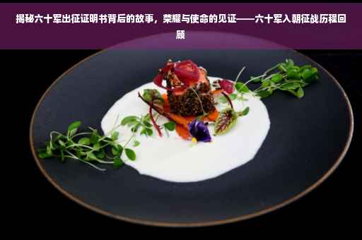 揭秘六十军出征证明书背后的故事，荣耀与使命的见证——六十军入朝征战历程回顾