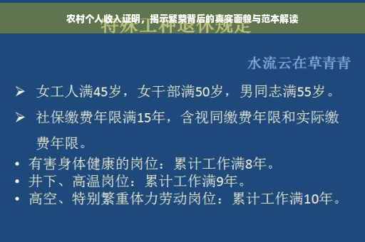 农村个人收入证明，揭示繁荣背后的真实面貌与范本解读
