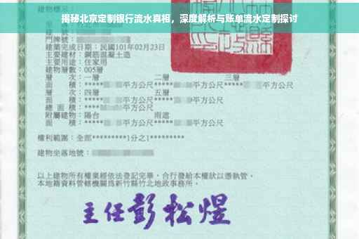 揭秘北京定制银行流水真相，深度解析与账单流水定制探讨