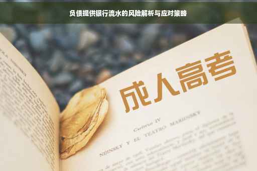 负债提供银行流水的风险解析与应对策略