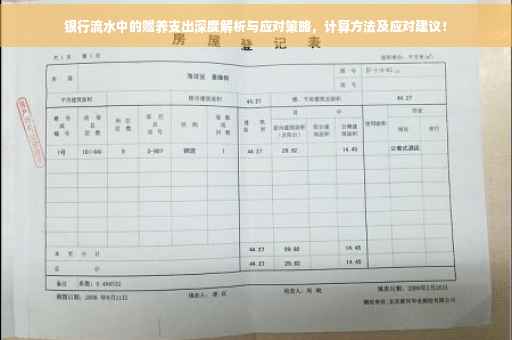 银行流水中的赡养支出深度解析与应对策略，计算方法及应对建议！