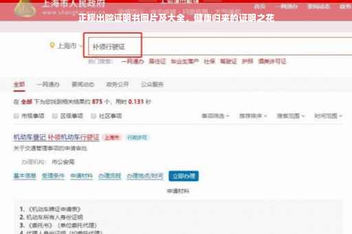 正规出院证明书图片及大全，健康归来的证明之花