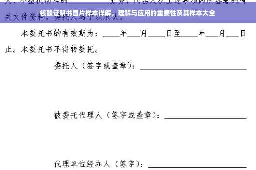 核酸证明书图片样本详解，理解与应用的重要性及其样本大全