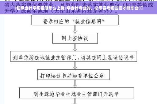 ?初级会计学历证明怎么上传?学会计专业的，必须要考哪些证才能毕业⚡️