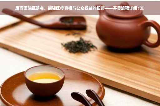 鹰阁医院证明书，揭秘医疗真相与公众权益的纽带——开具流程详解?⚡️