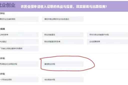 农民低保申请收入证明的挑战与探索，现实困境与出路指南?