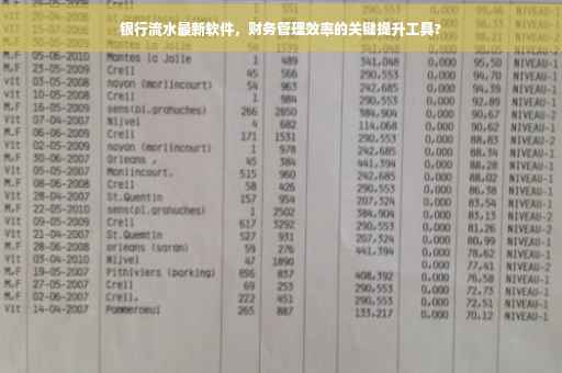 银行流水最新软件，财务管理效率的关键提升工具?