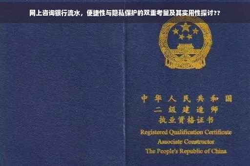 网上咨询银行流水，便捷性与隐私保护的双重考量及其实用性探讨??