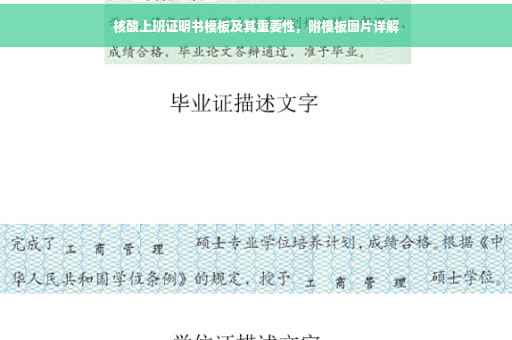 核酸上班证明书模板及其重要性，附模板图片详解