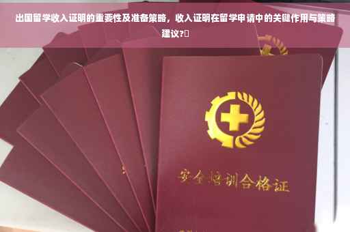 出国留学收入证明的重要性及准备策略，收入证明在留学申请中的关键作用与策略建议?✨