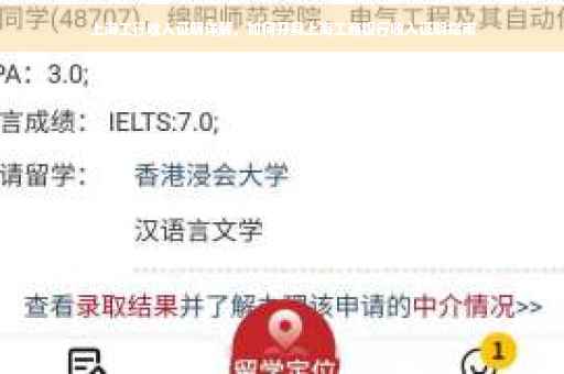 上海工行收入证明详解，如何开具上海工商银行收入证明指南
