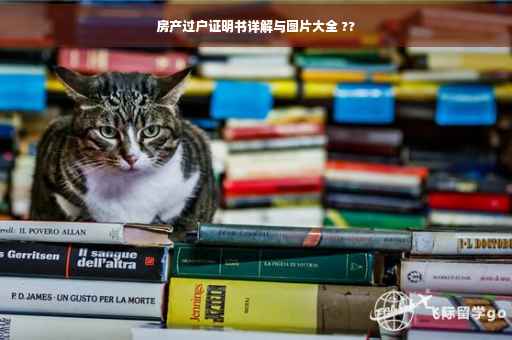 房产过户证明书详解与图片大全 ??