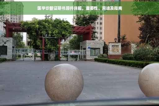 医学诊断证明书原件详解，重要性、用途及指南
