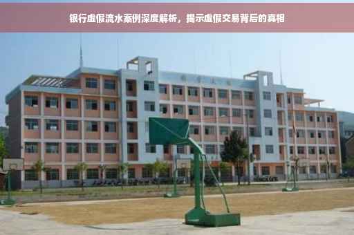 银行虚假流水案例深度解析，揭示虚假交易背后的真相